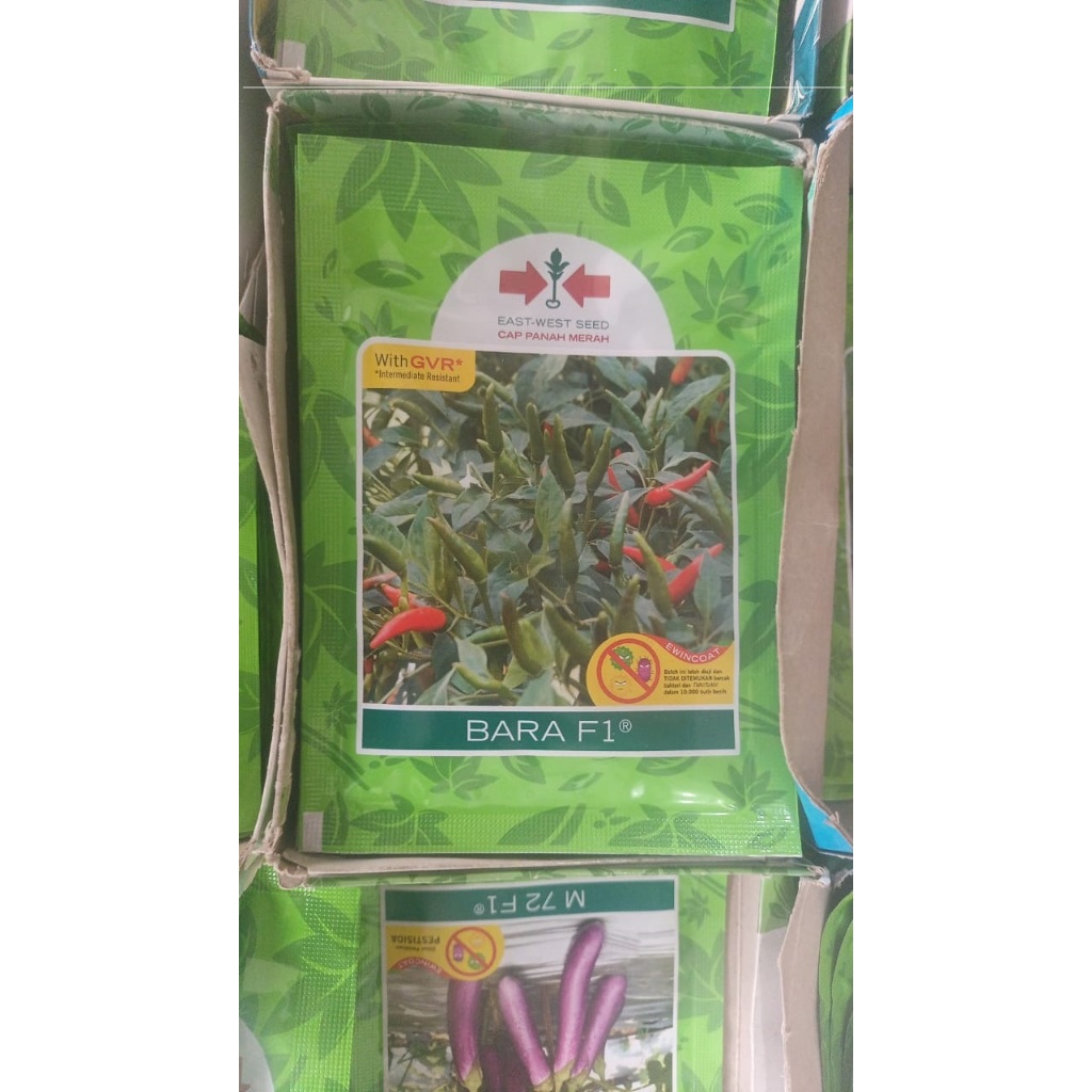 TERBARU BENIH HIBRIDA CABE RAWIT BARA F1 ISI 2250 BIJI