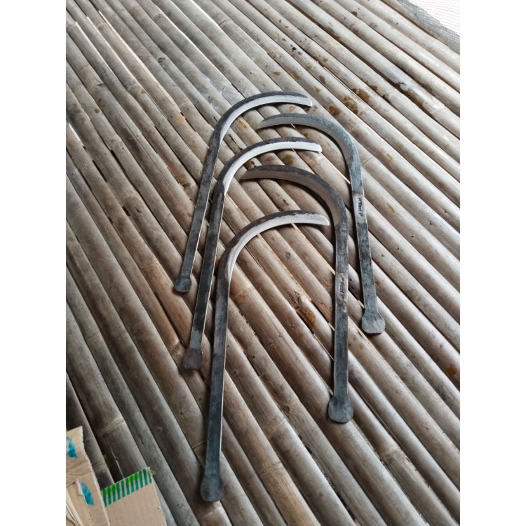 

kaet buah panen kelapa