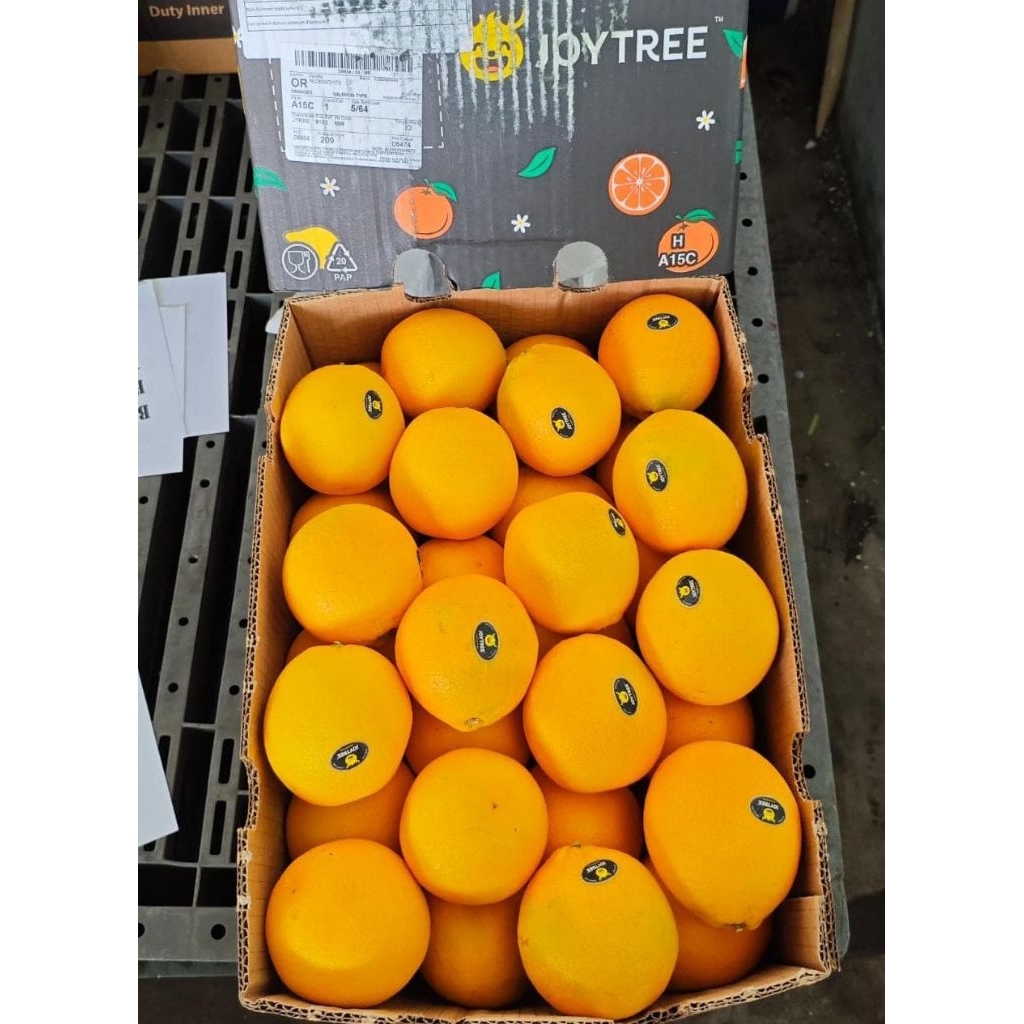 Jeruk Sunkist valencia+-/kg