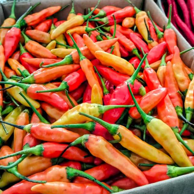 

1Kg Cabai / cabe rawit merah 1kg cabe / cabai rawit fresh segar packing kardus cabai / cabe rawit setan