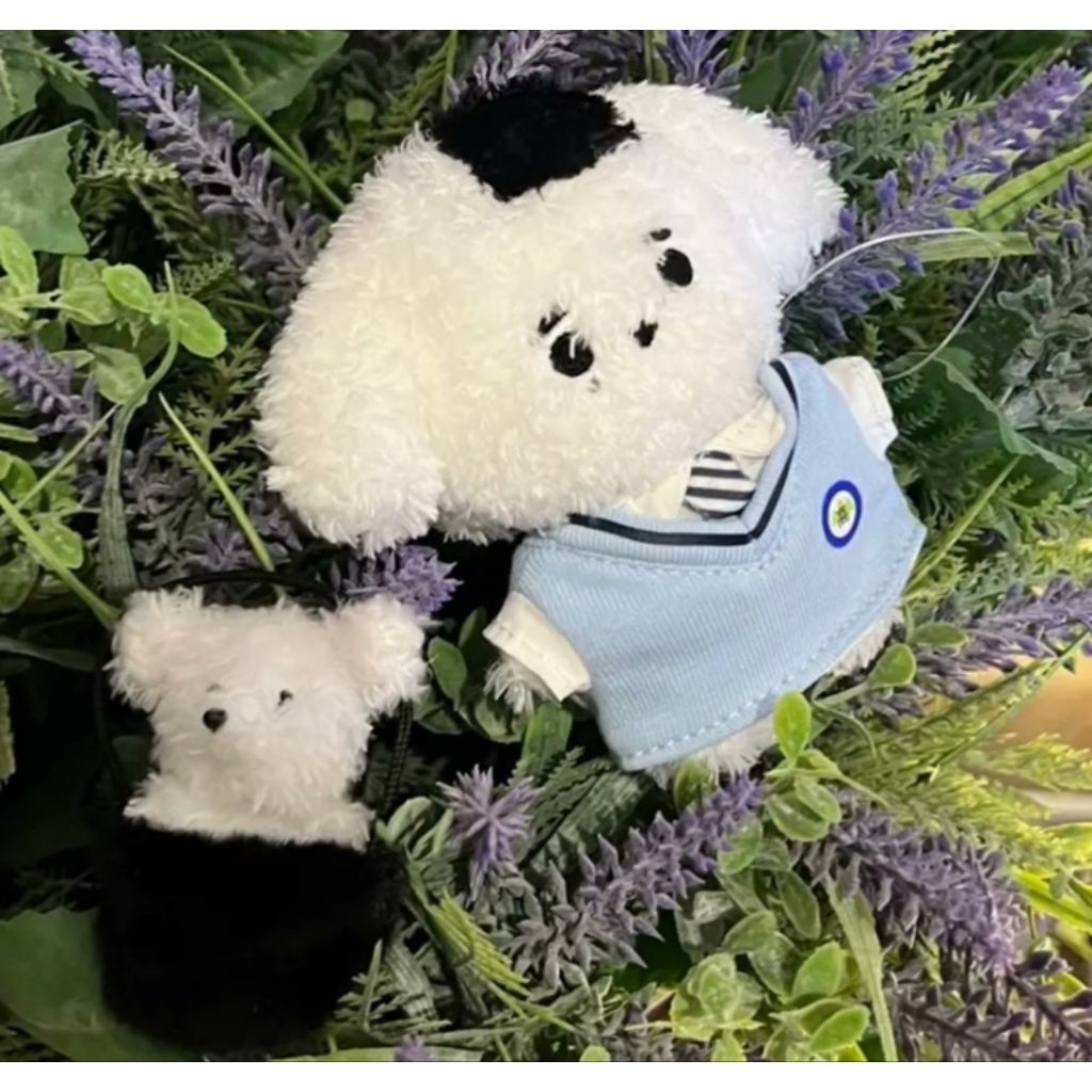 10CM KPOP DOLL ENHYPEN SUNGHOON HOONGIMI PARK SUNGHOON