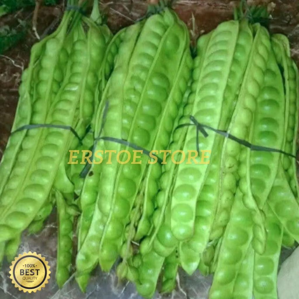 

Pete asli serang banten super jumbo murah (10 papan) nambah nasfsu makan