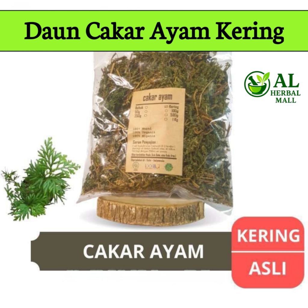 

Daun Cakar Ayam Kering Isi Per 250 Gram Rempah Organik