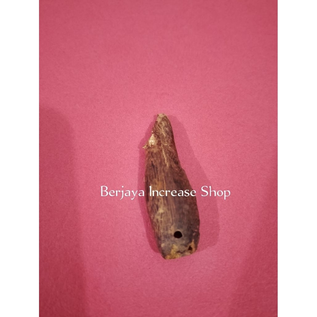 Mata Kalung Galih Asem Bentuk Gigi Harimau