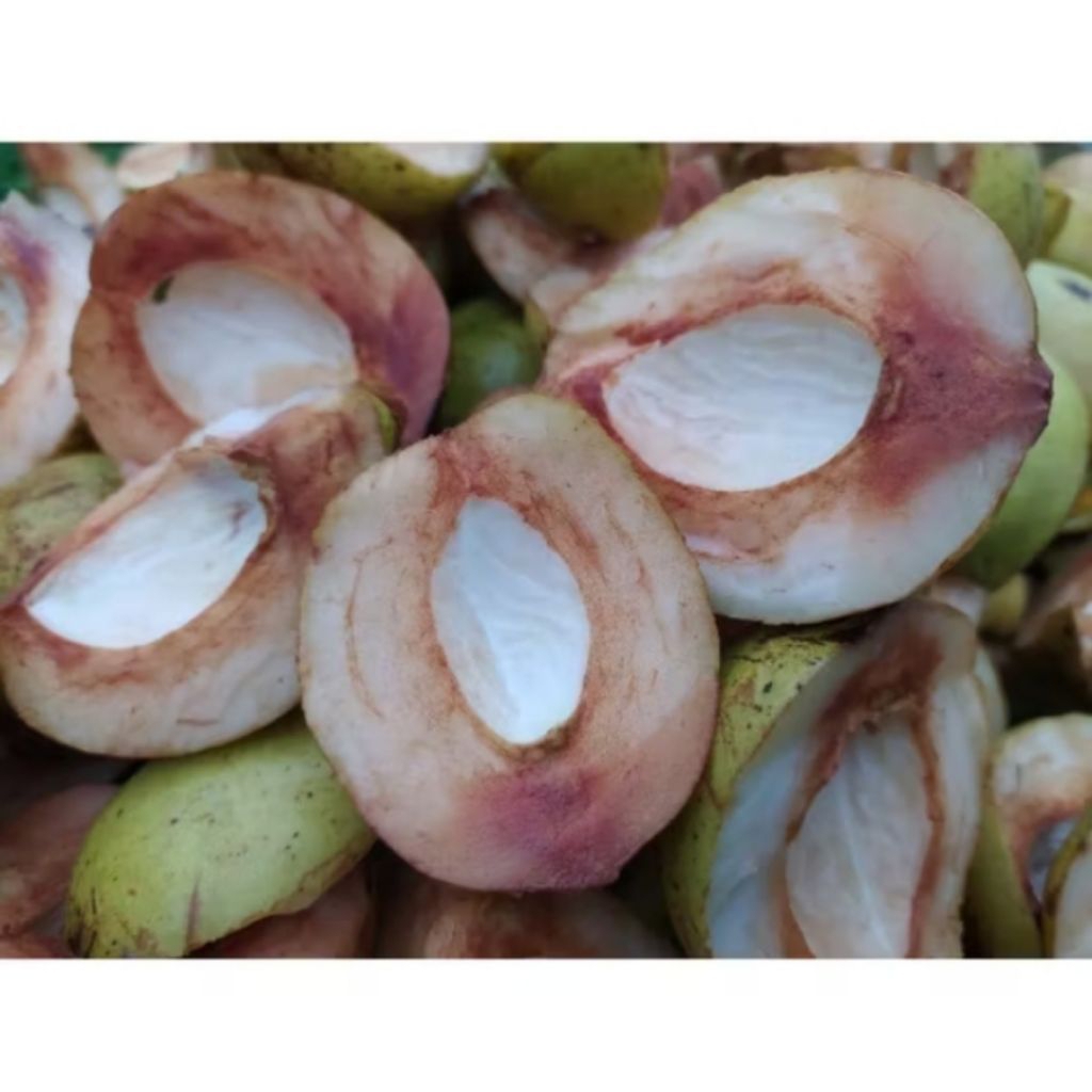 

Daging buah pala segar terbaik enak buat manisan 250grm