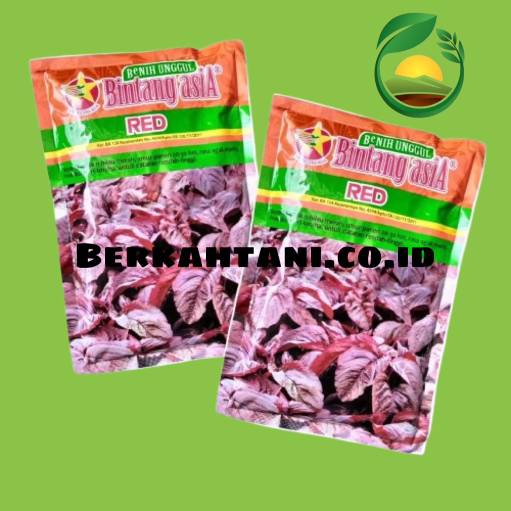 Red 500gr Benih Bayam Merah Bintang Asia Mira