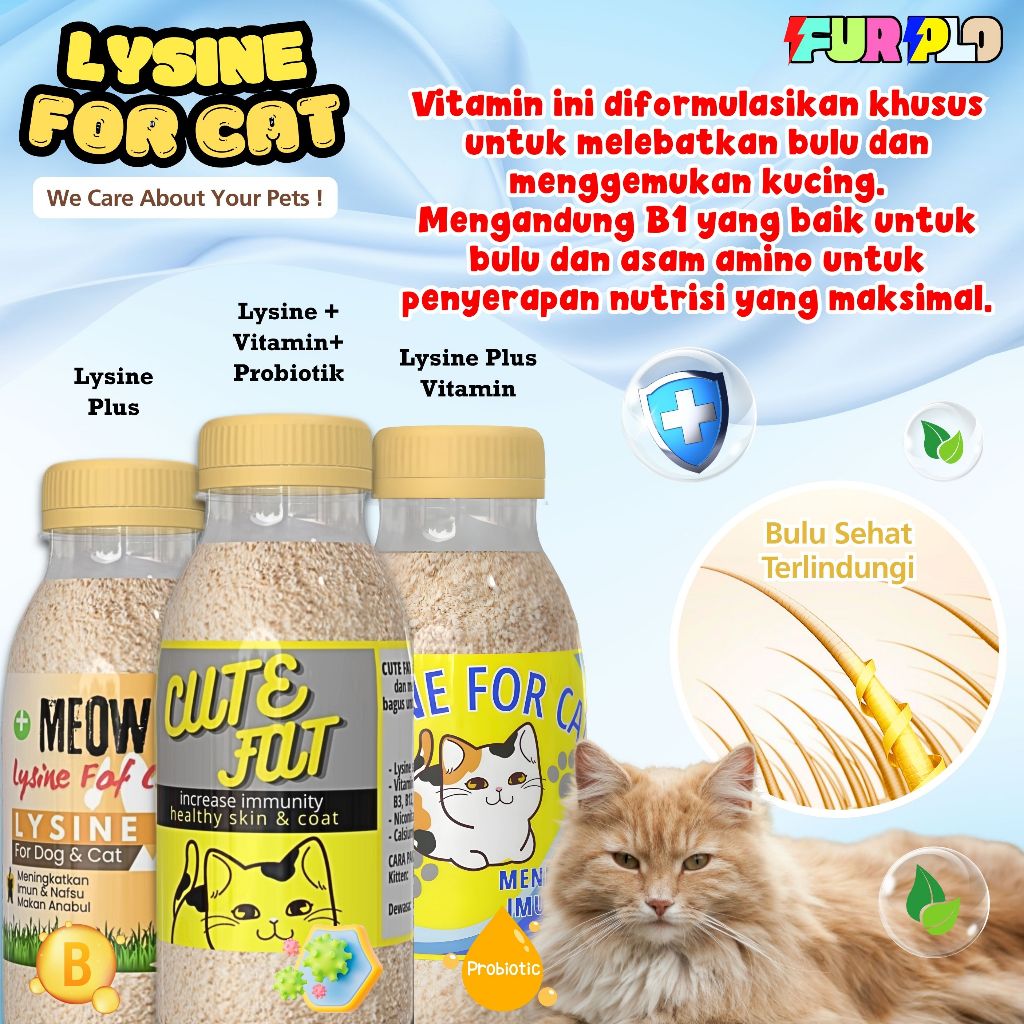 Lysine Vitamin Kucing penggemuk super cepat makanan sehat anabul senang Furplo