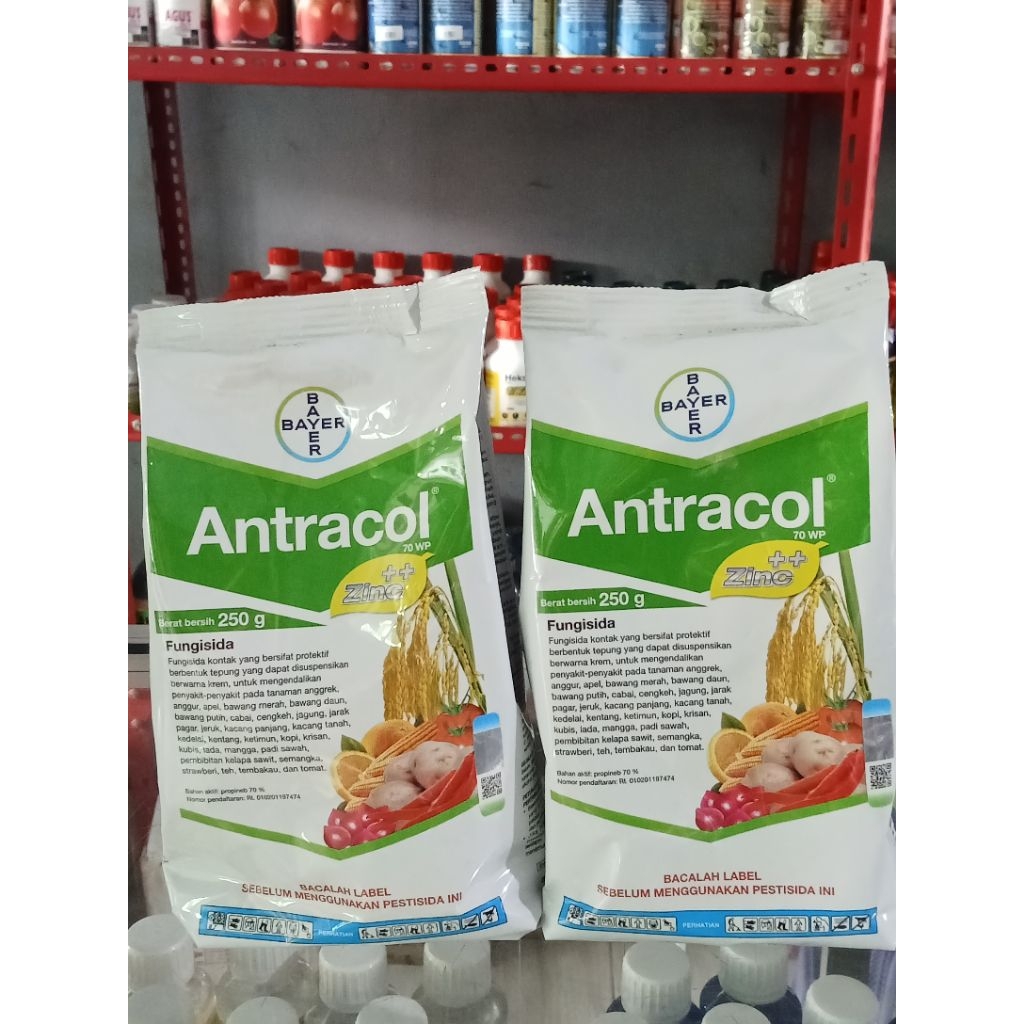 Antracol 70WP 250gram