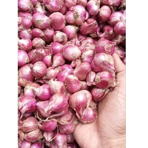 

Bawang merah sedang besar 1kg ½kg ¼kg