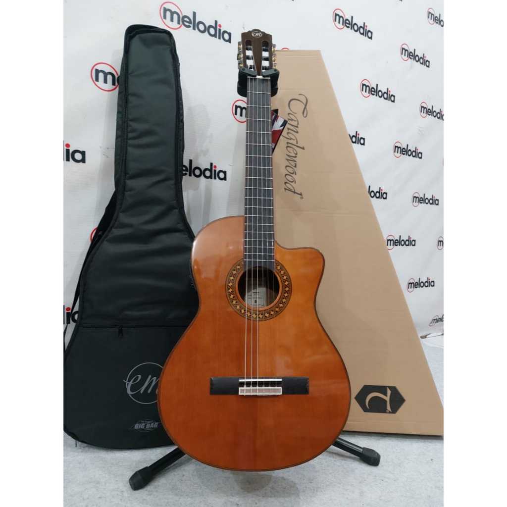Tanglewood EMDC 5, 6-strings Acoustic Electric Guitar Nylon
