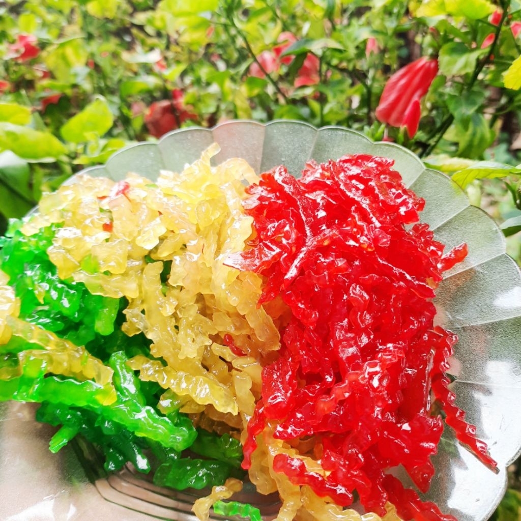 

Manisan Pepaya Khas Guci Tegal Fresh 500 Gram