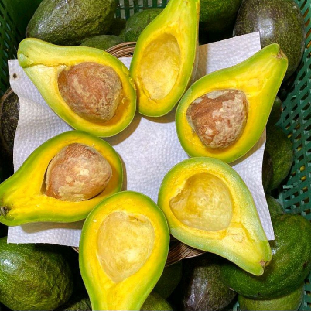 

promo Buah alpukat mentega pulen super paket 2 kg