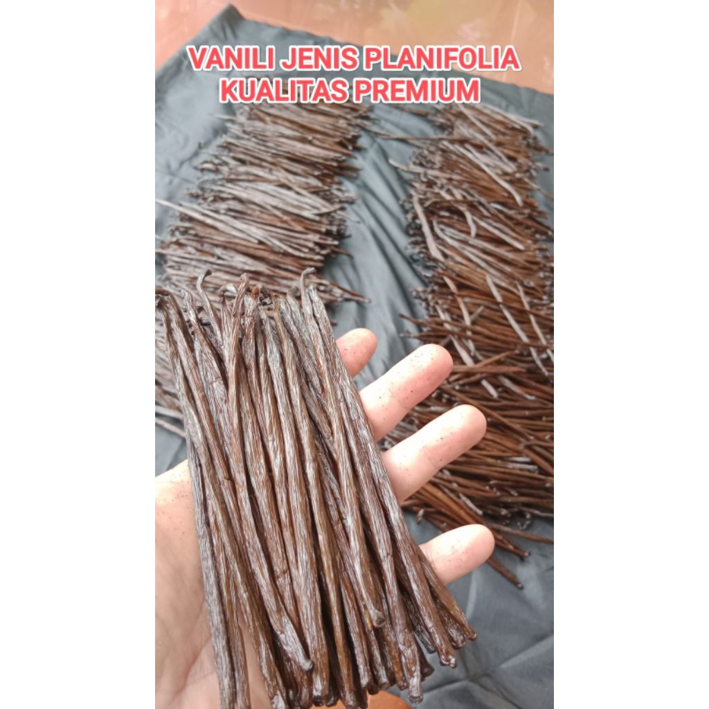 

VANILI KERING JENIS PLANIFOLIA SATUAN KUALITAS SUPER