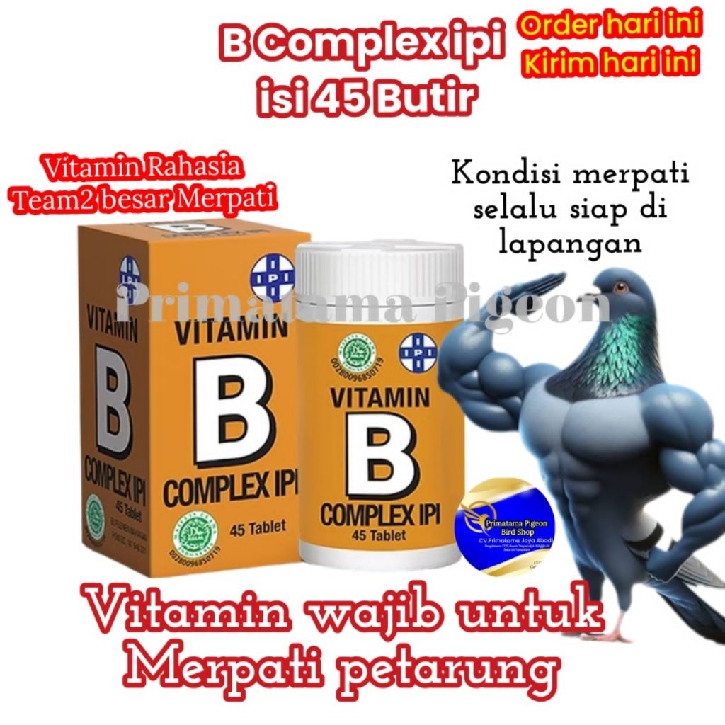 B Complex ipi Untuk Burung Merpati Vitamin Hewan Burung Unggas Kucing Anjing