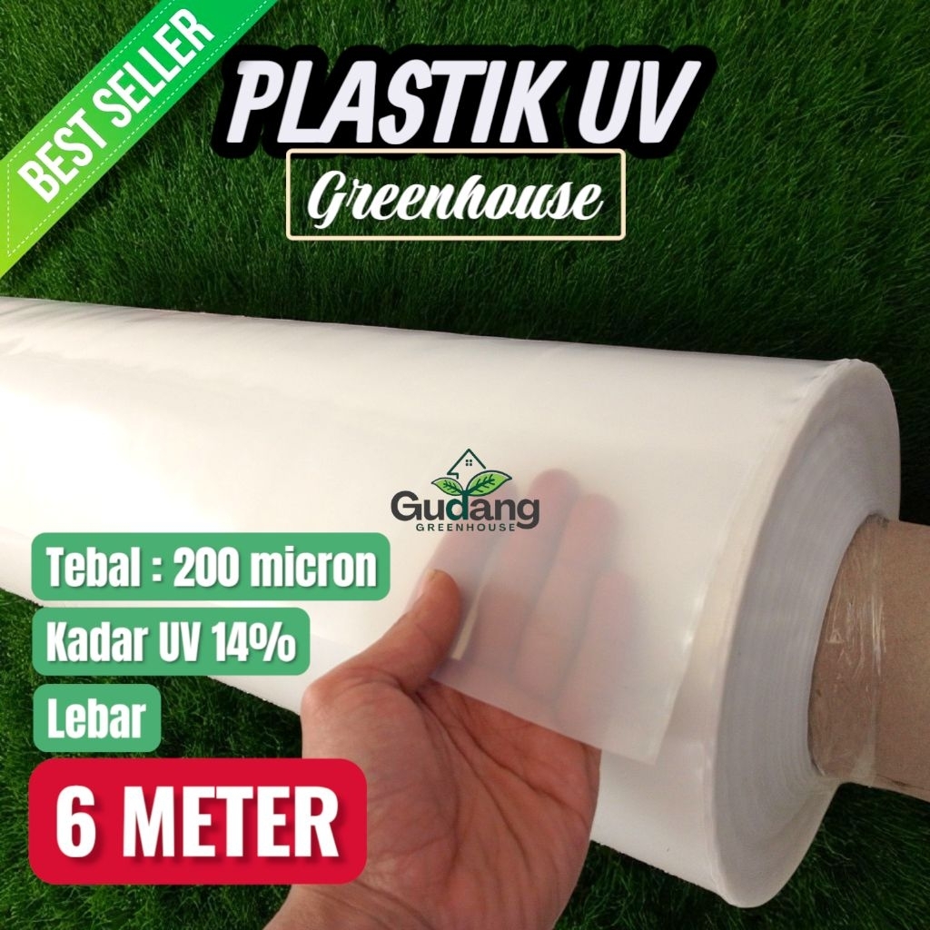 Plastik UV Lebar 6 Meter 200 Micron 14% Plastik Uv 200 micron