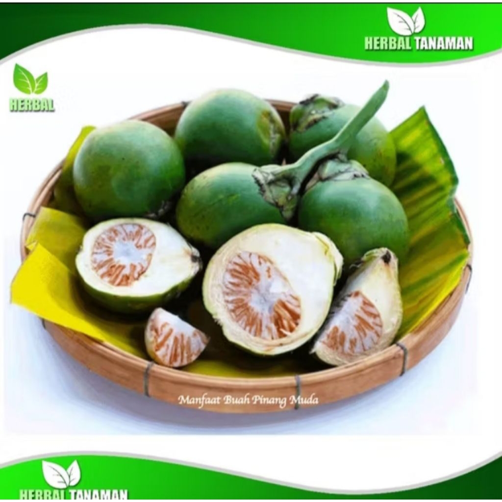 

1kg Jambe Pinang Segar Buah Fresh Asli Pilihan