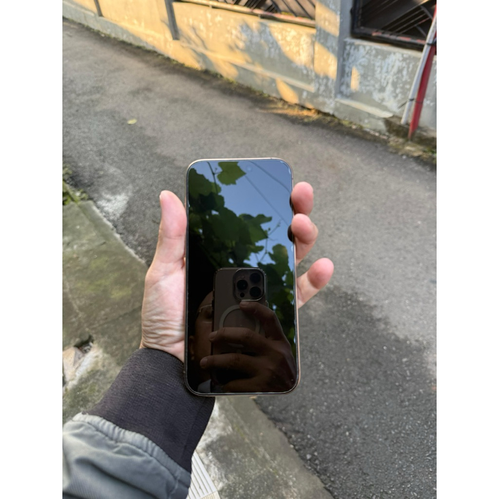 Iphone 16 Pro Max 256gb