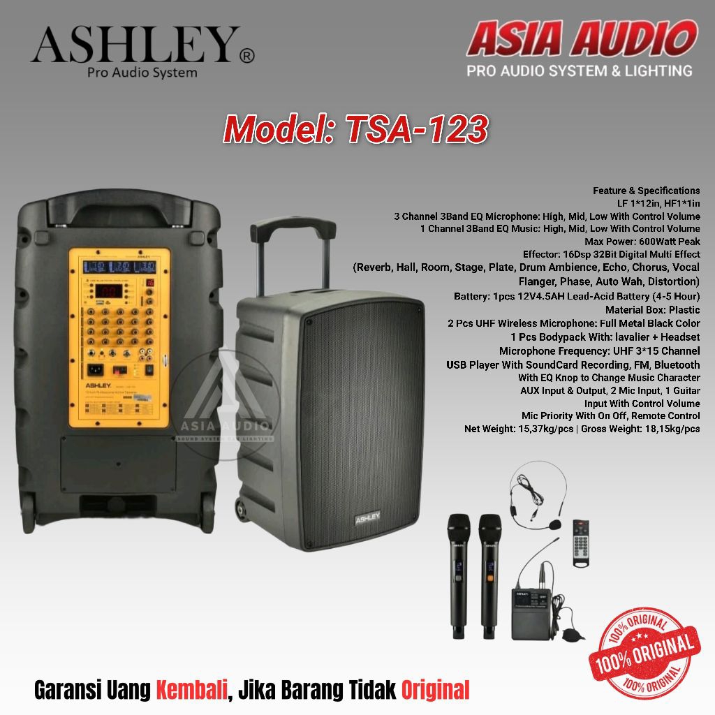 SPEAKER PORTABLE ASHLEY TSA-123