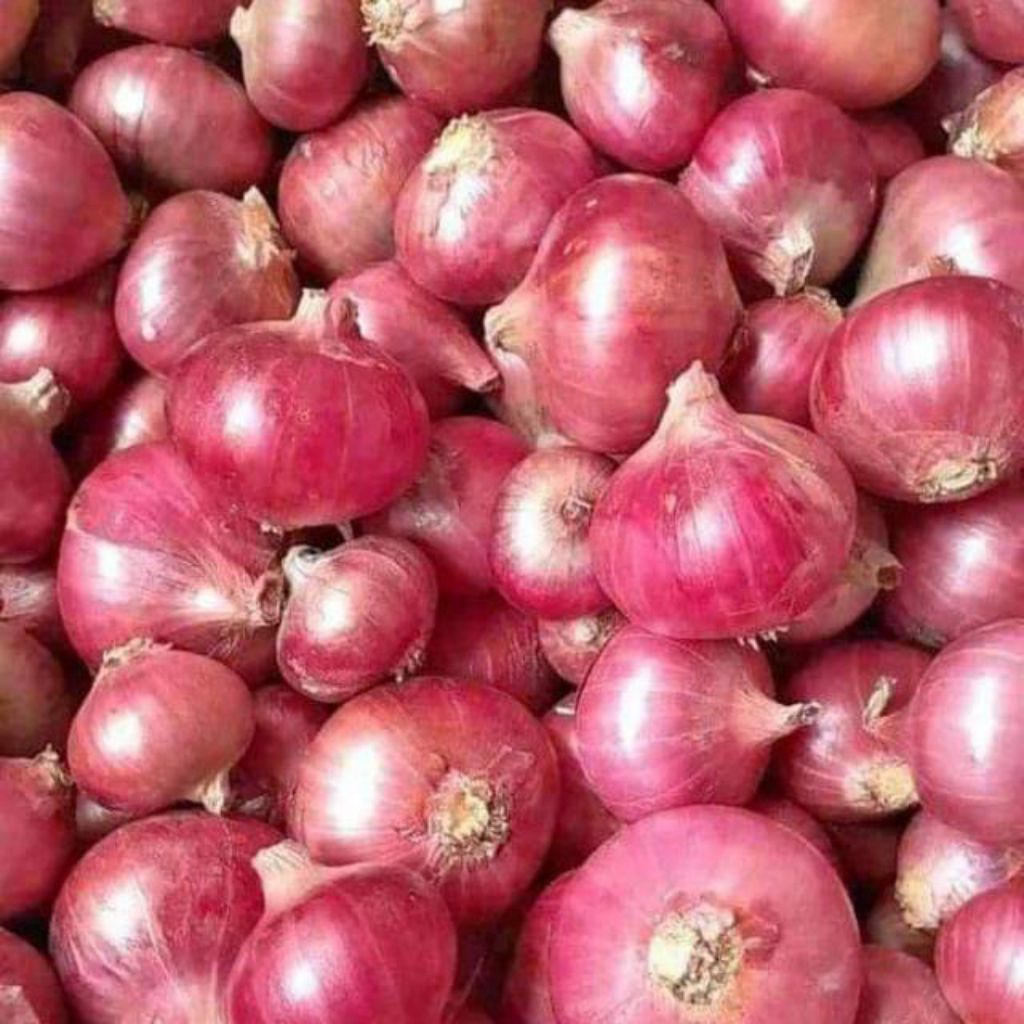 

Bawang Merah Super Bali Karet Lokal 1 Kg