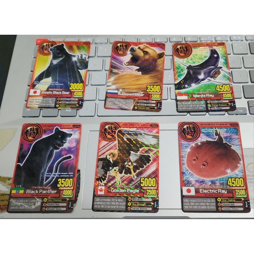 paket animal card animal kaiser plus ver 1