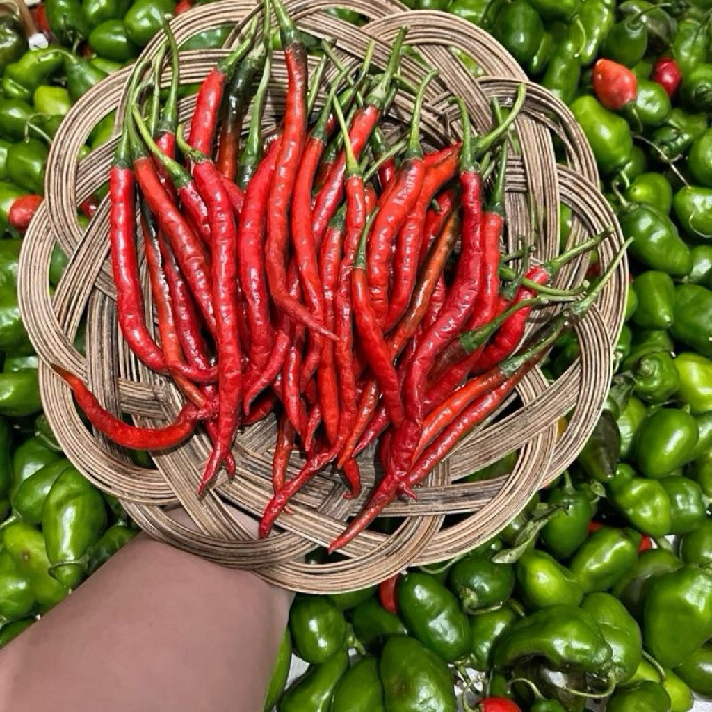 

Cabai Keriting Merah Segar 200gr