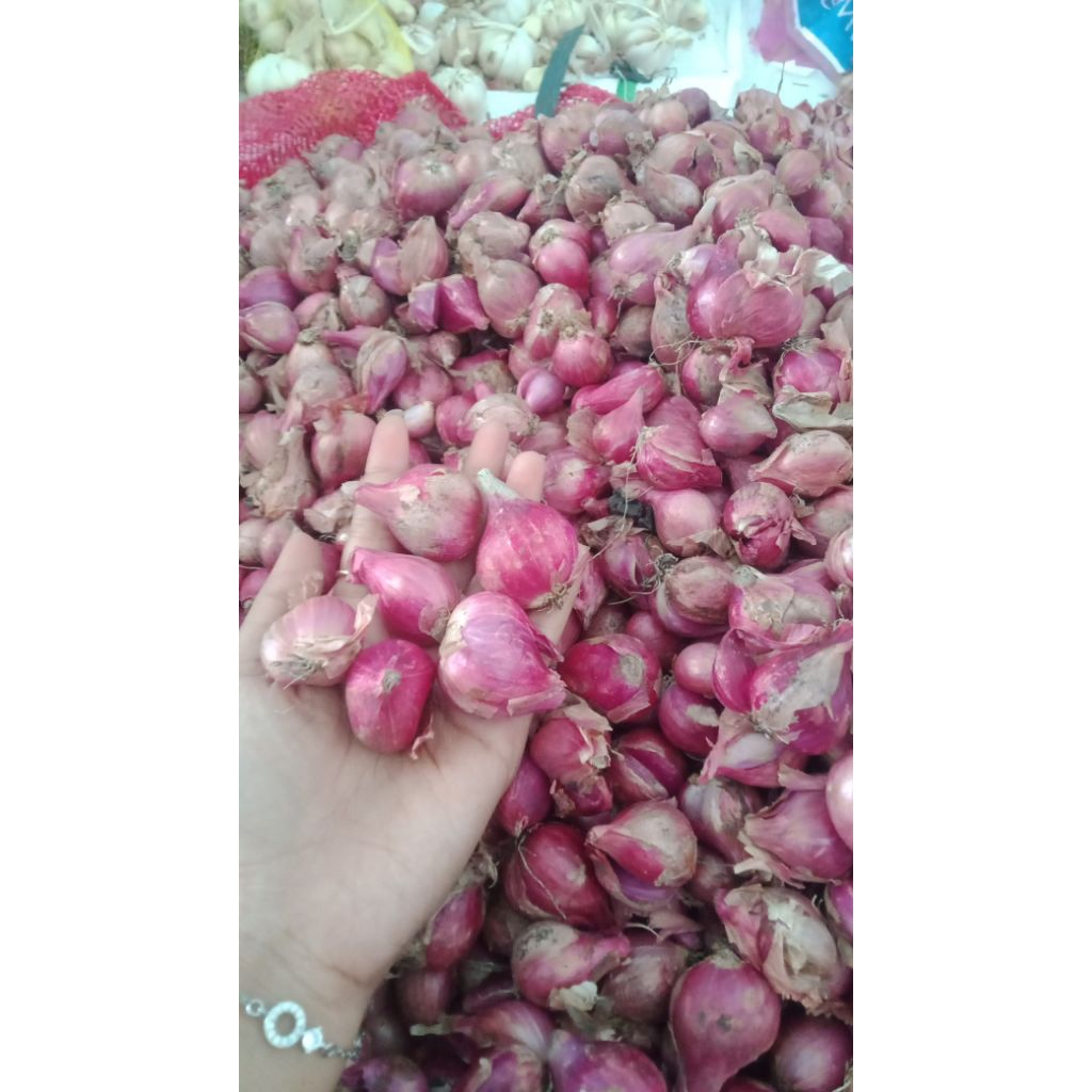 

bawang merah