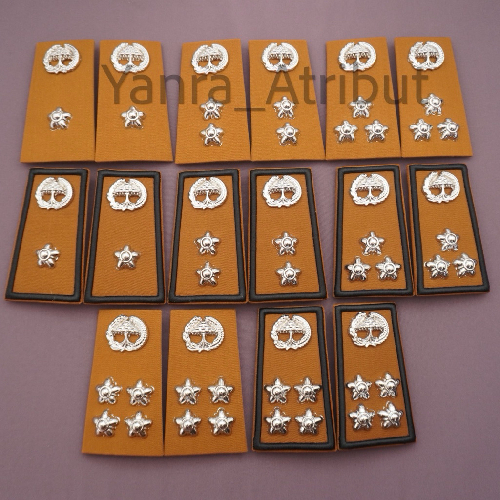 Pangkat Pns Lampung / Pangkat Asn Lampung Golongan 3a 3b 3c 3d Premium Luxury