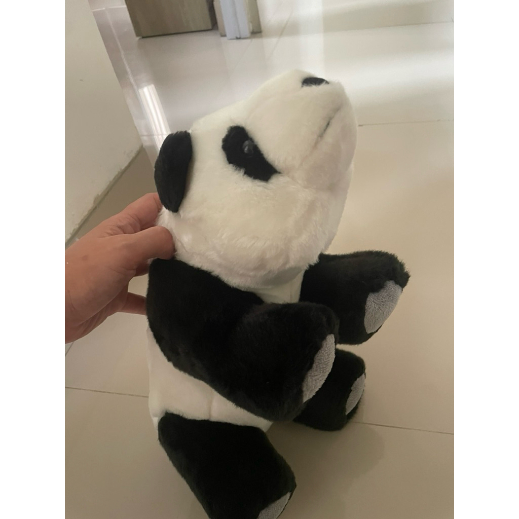 Boneka Panda Taman safari