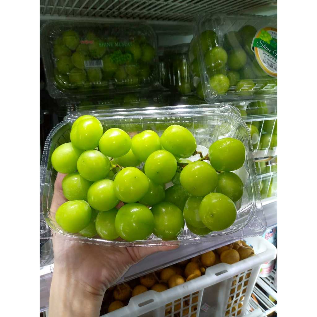 

Anggur Shine Muscat Pack