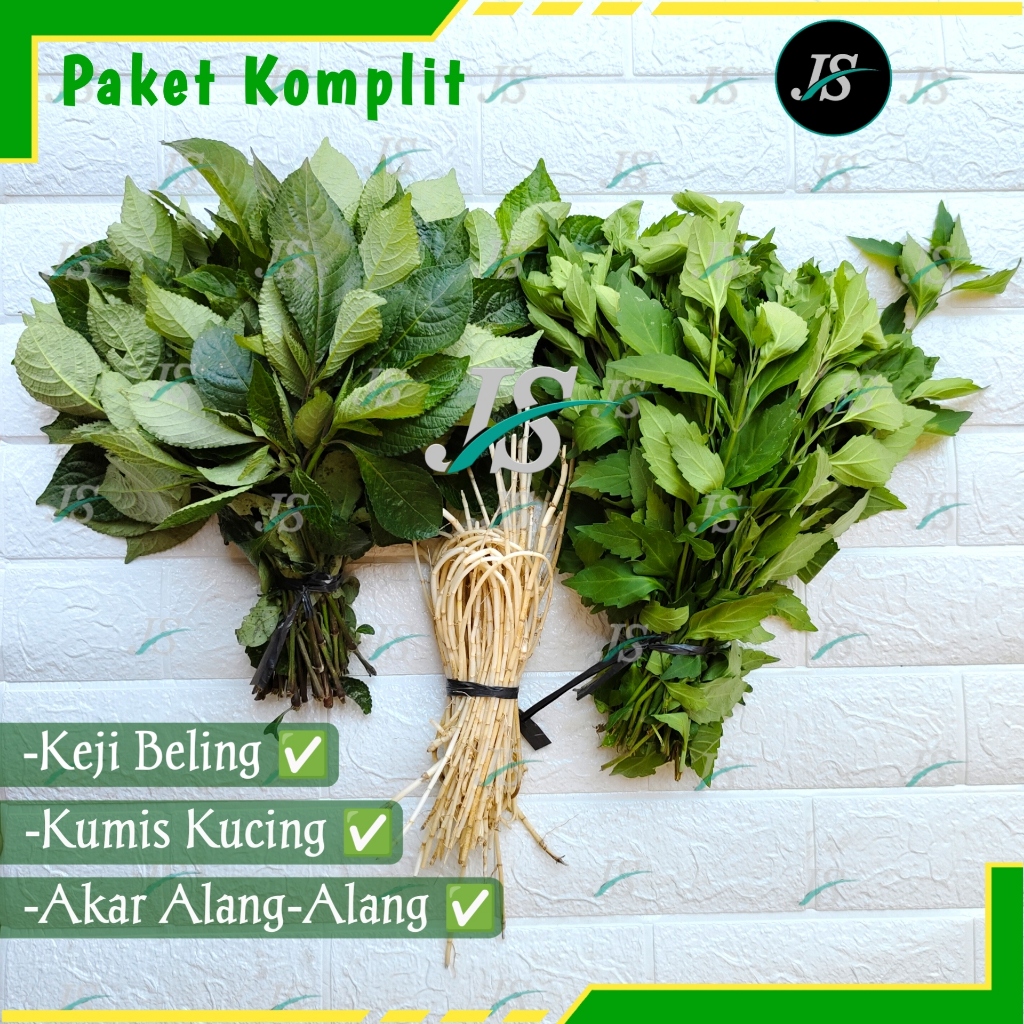 

Paket Komplit / Daun Keji Beling / Daun Kumis Kucing / Akar Alang Alang / Kondisi Segar