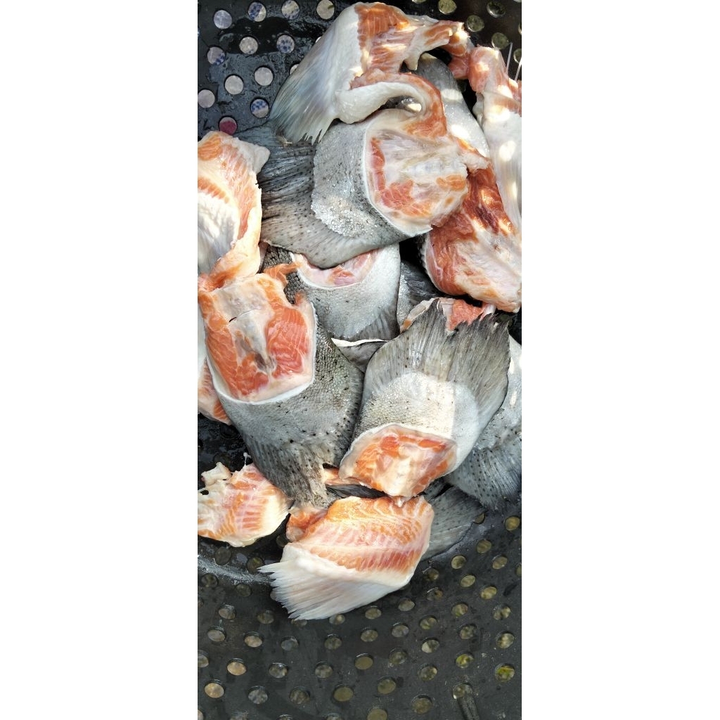 

Buntut salmon/ekor salmon 1kg