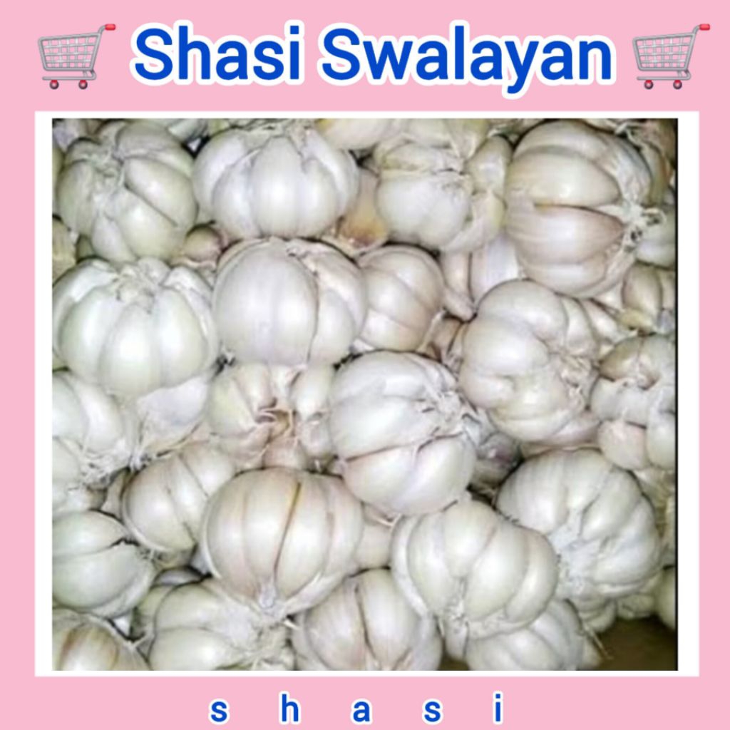 

Bawang Putih 100 Gram