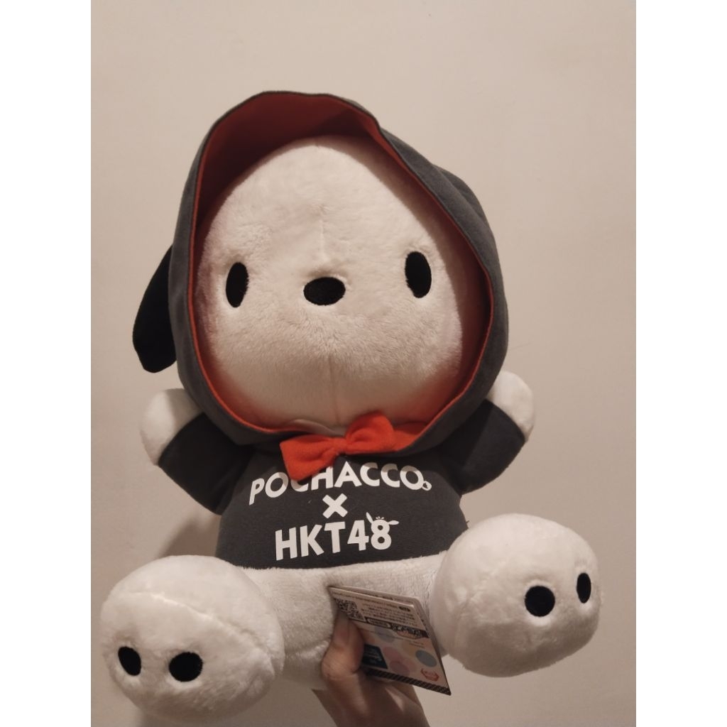 Pochacco×HKT48(NewTag