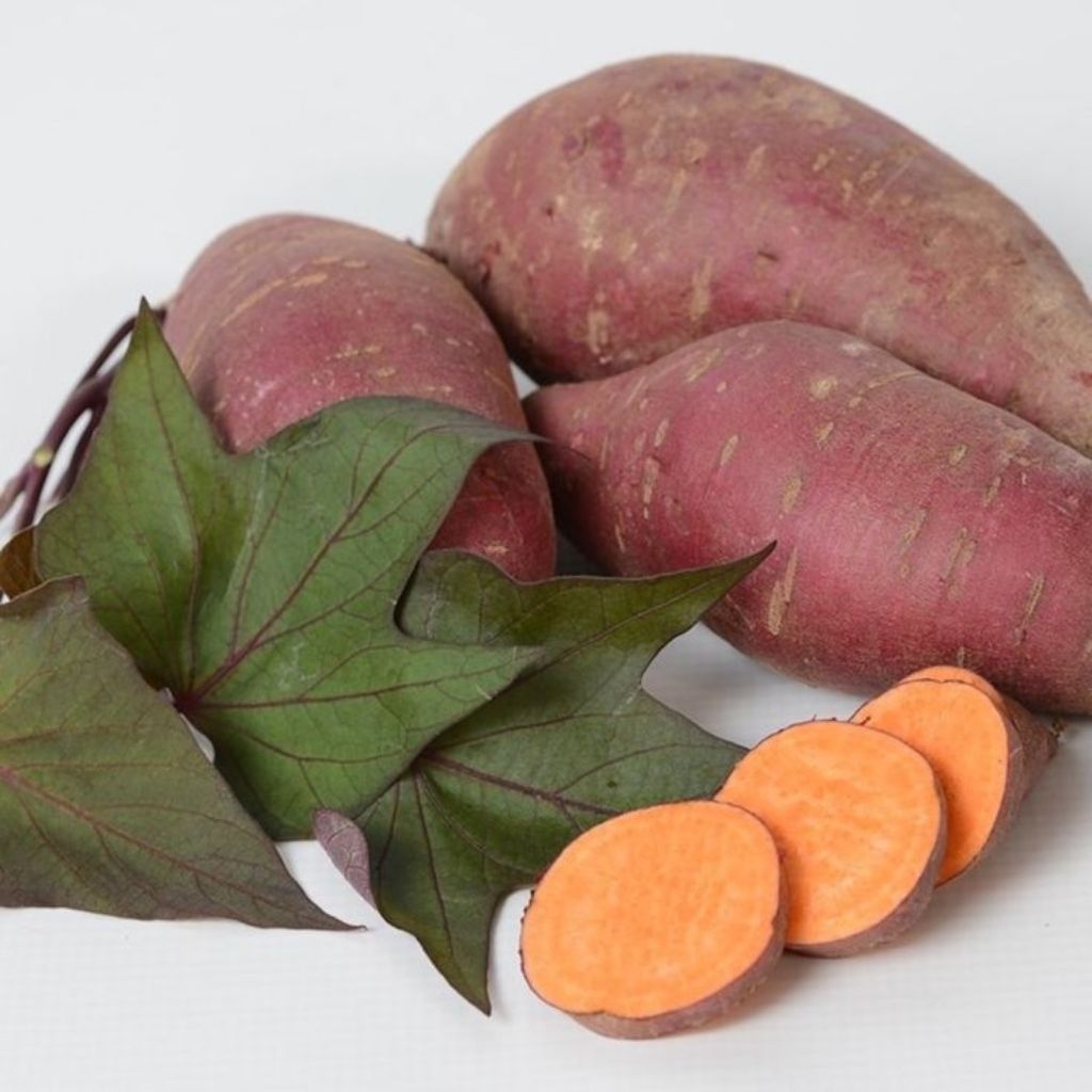 

Ubi jalar, Ubi Merah Manis,Ungu,Putih Ubi Boled 1KG Segar Fresh