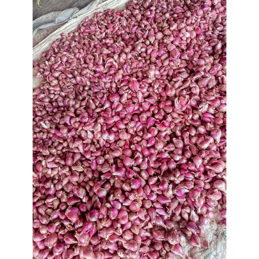 

bawang merah Brebes besar/bawang masak/asli Brebes yaaaa