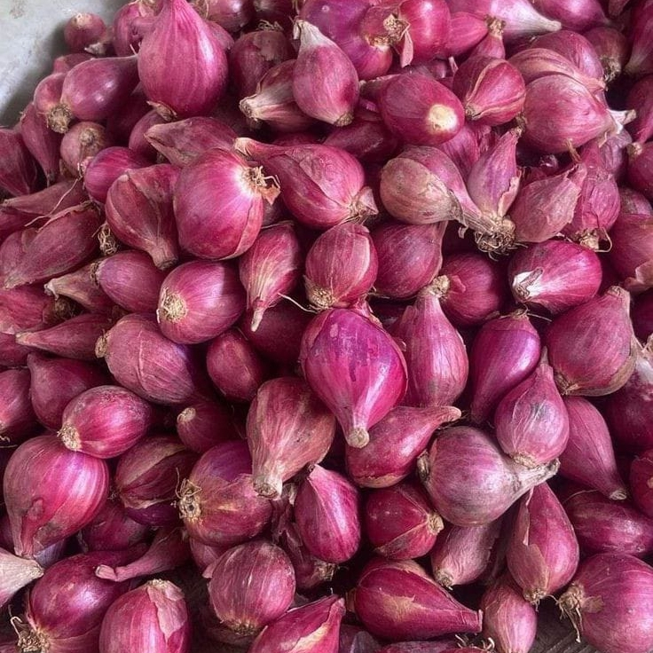 

bawang merah super ukuran besar 1 kg kering