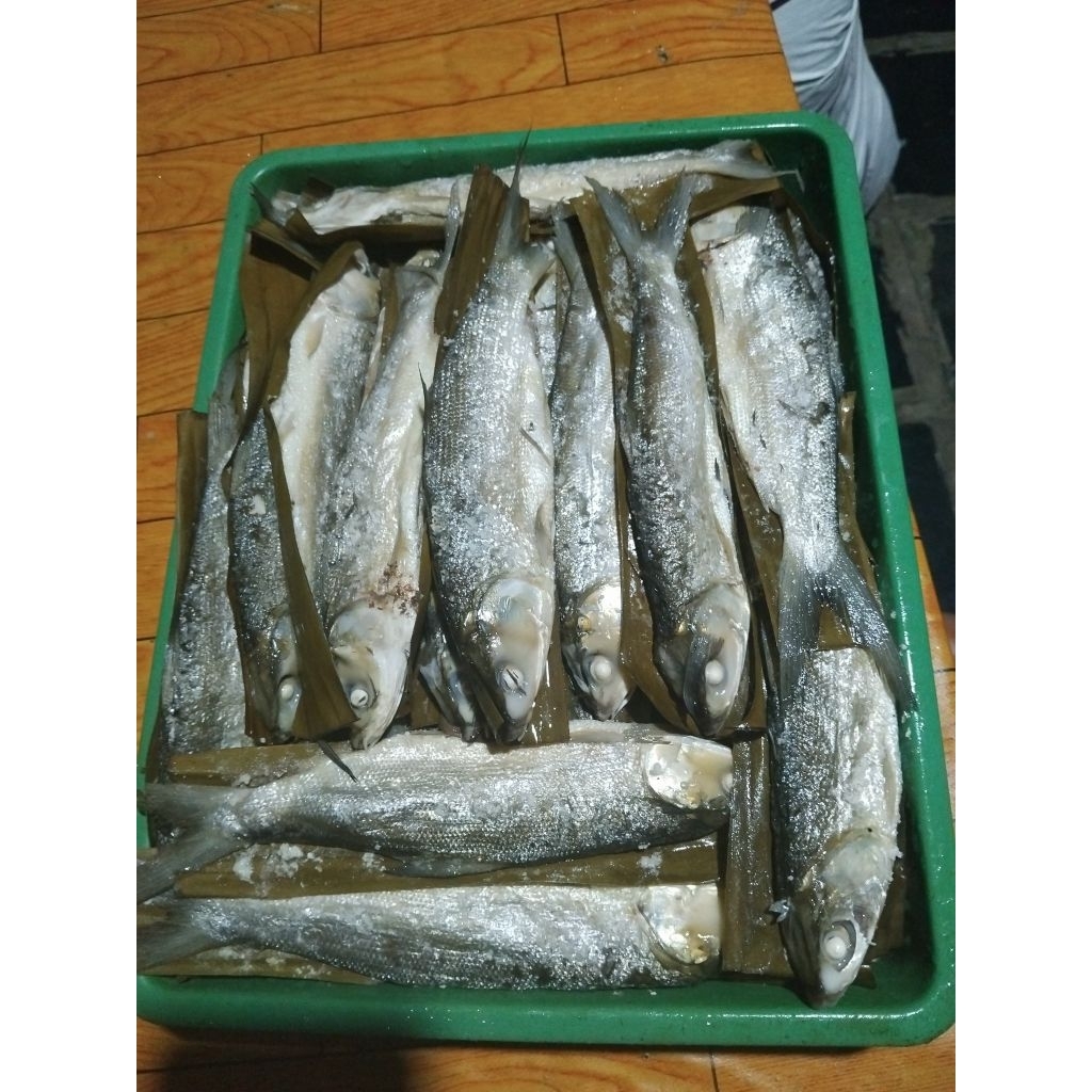 

bandeng presto jumbo khas Tegal,500gr,3 - 4 ekor