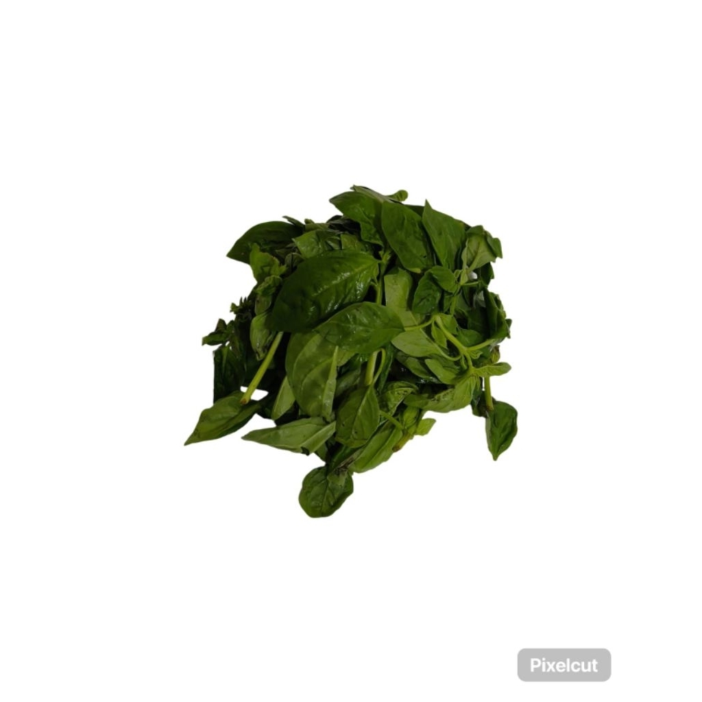 

Daun Basil Fresh 50gr