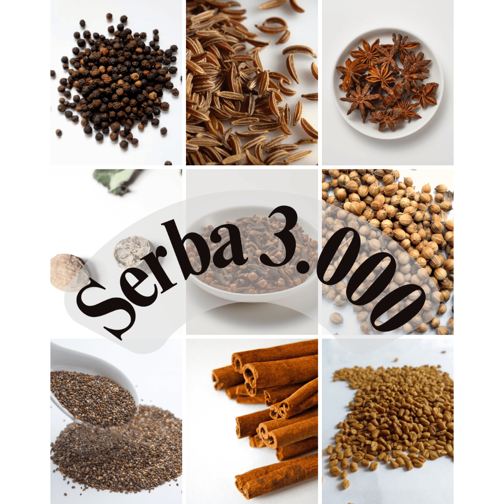 

REMPAH REMPAH BUMBU DAPUR MASAKAN SERBA 3000