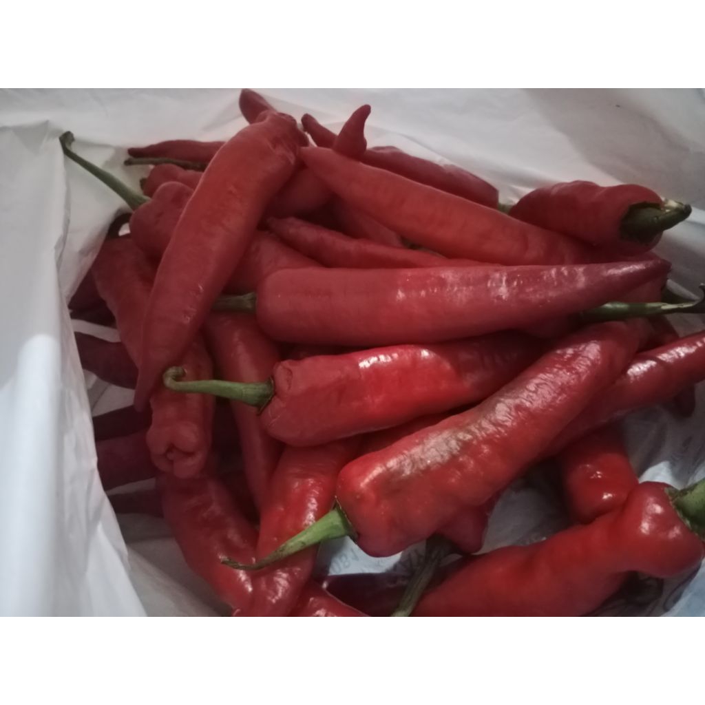 

Cabai Merah Besar Lokal Segar 1 Kg