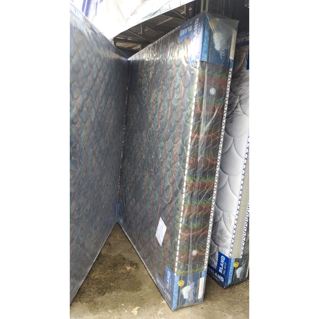 SPRINGBED  OLYMPIC BEARLAND