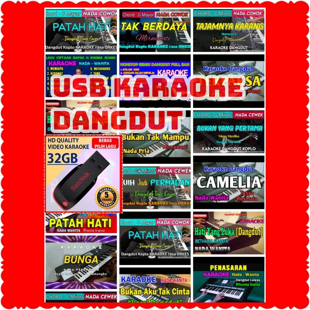 MP4 MP5-USB ISI LAGU KARAOKE DANGDUT-USB MP4 LAGU DANGDUT KARAOKE