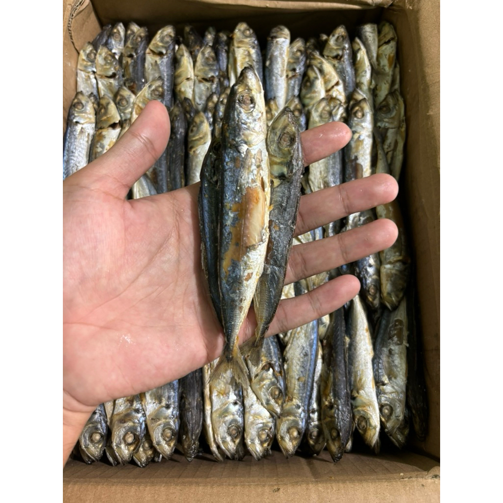 

IKAN ASIN LAYANG REBUS/CUE TERMURAH FREE ONGKIR