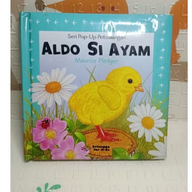 Buku Board Book Anak Seri Pop Up Petualangan 1 Set Box Maurice Pledger - Erlangga For Kids