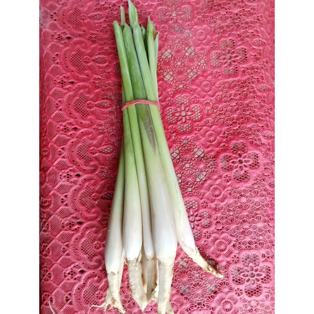 

Daun serai Daun sereh bersih 10 Batang