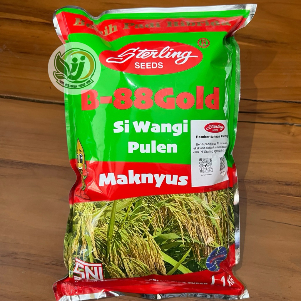 Benih Padi Hibrida Sterling B-88 Gold kemasan 1kg