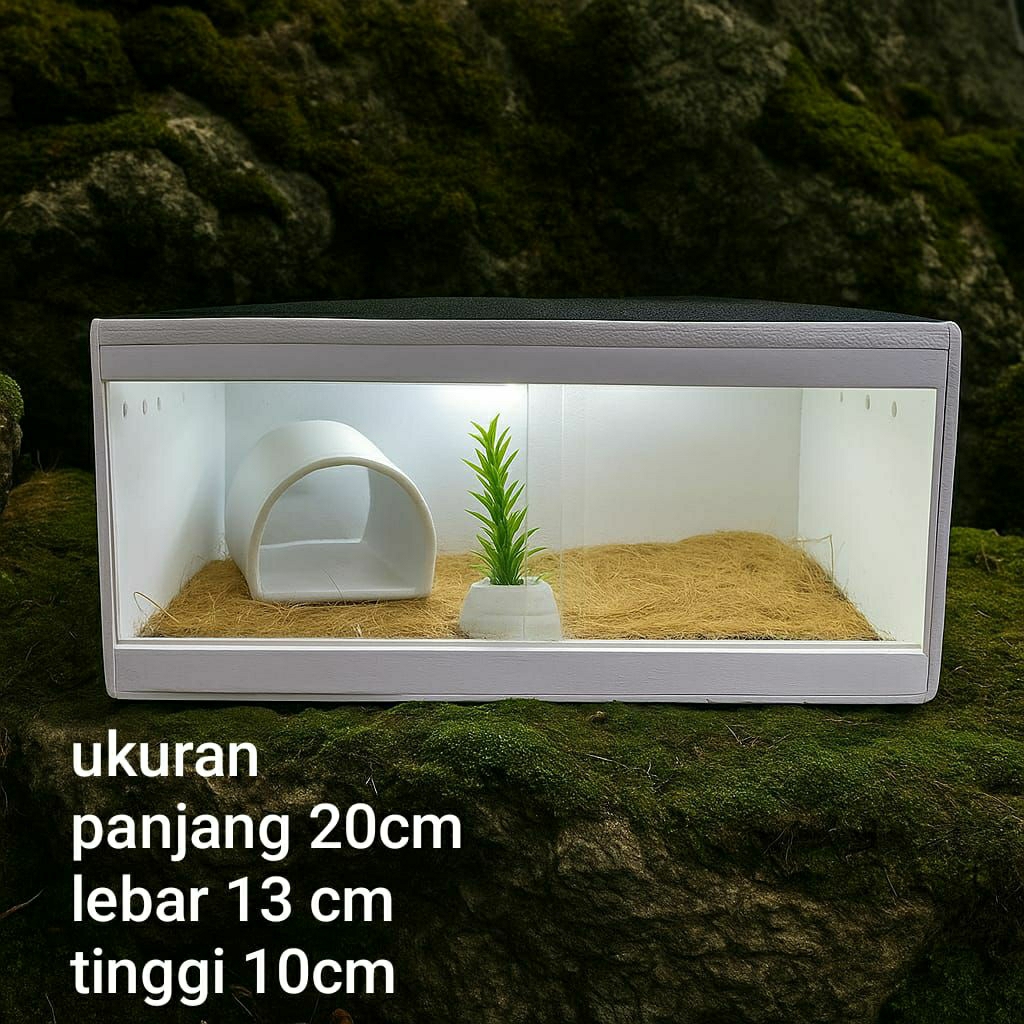 kandang kadal/tokek/gecko hewan reptil kecil