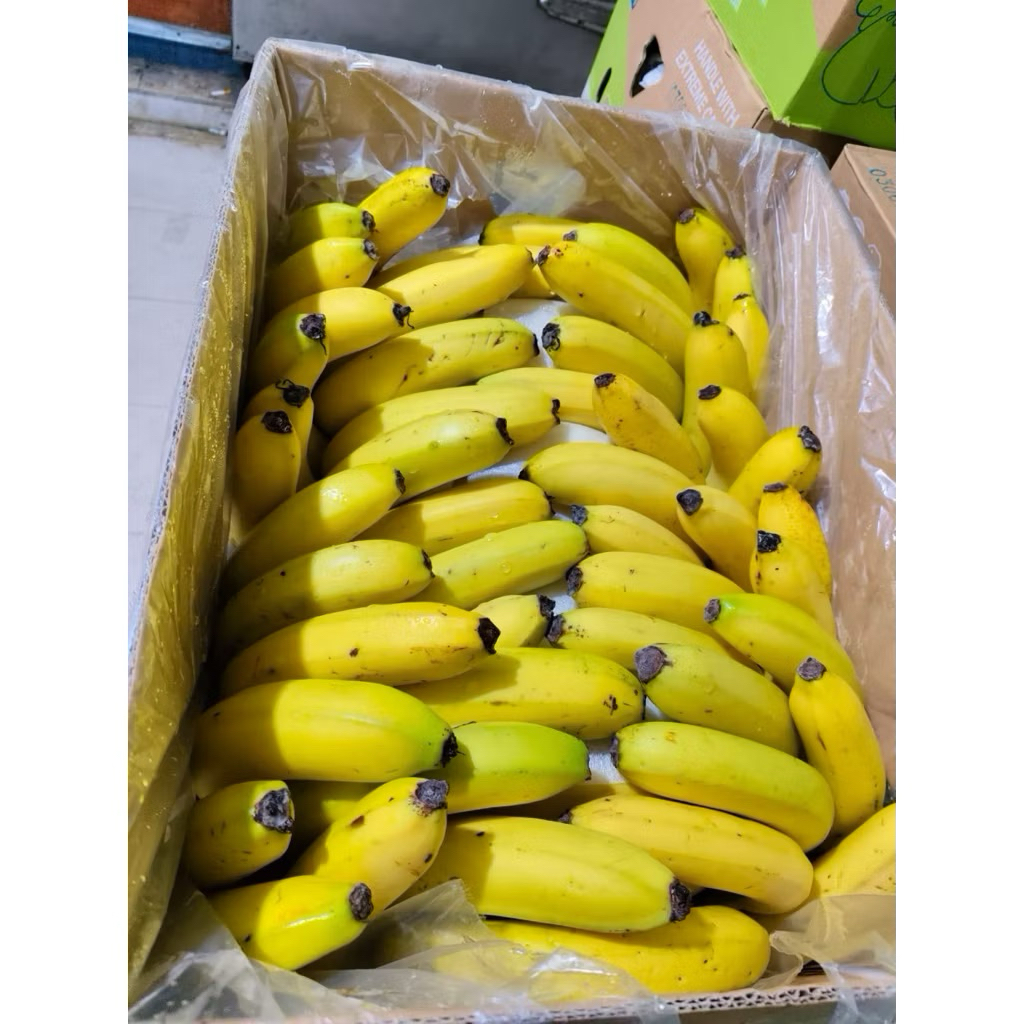 Pisang Sunpride Super / Pisang Cavendish Sunpride Fresh 13kg / Box