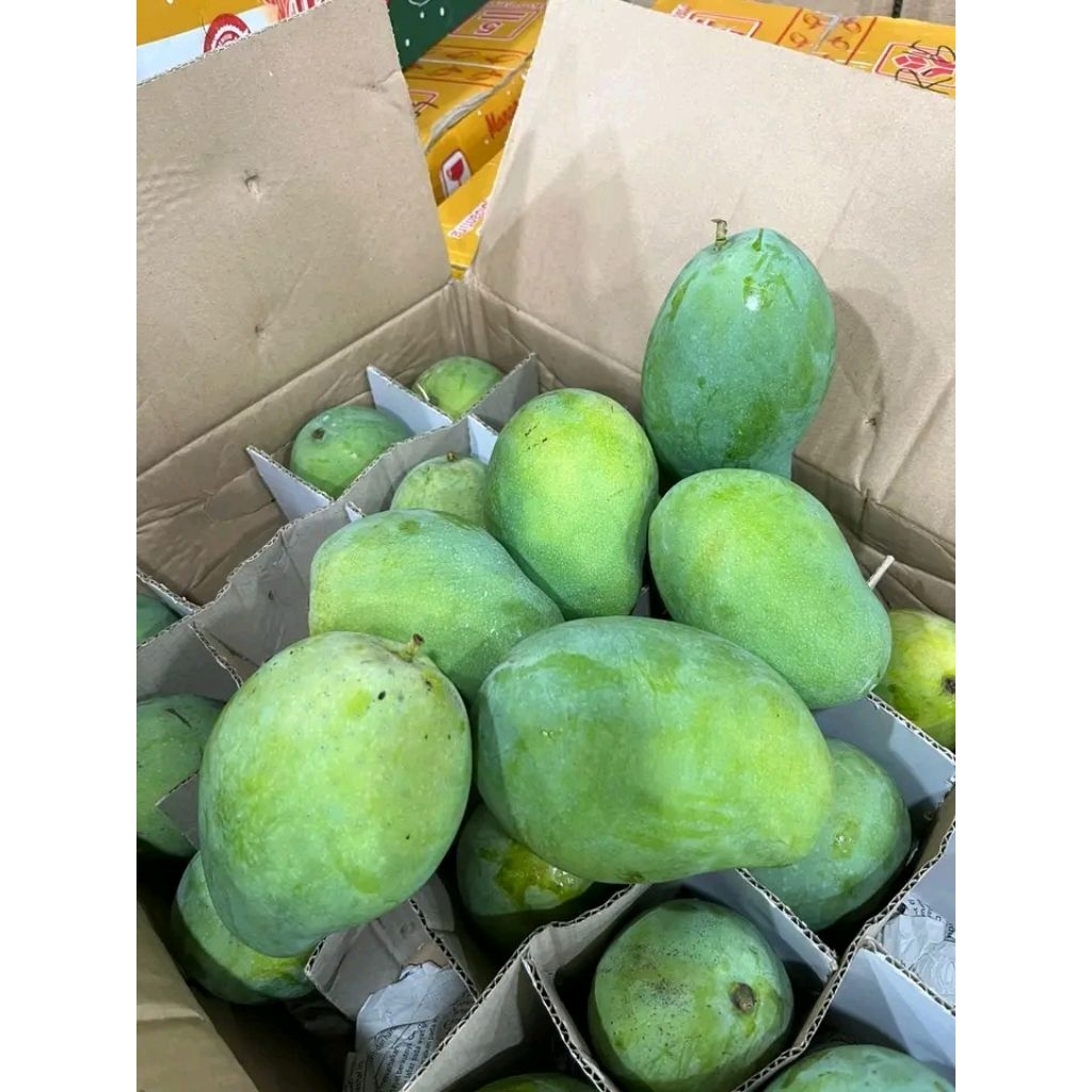 

mangga gadung/harumanis super 1kg
