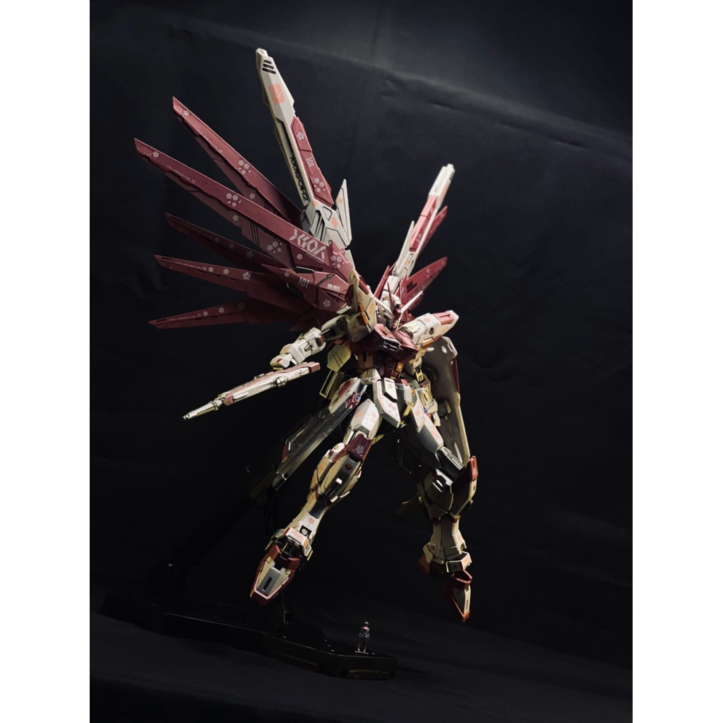 PO COMWORK MG Sakura Freedom 2.0 Special Colour Limited 1/100 Detailing Custom Paint Sudah rakit no 
